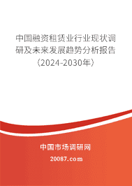 2024年融资租赁业市场现状分析 中国融资租赁业行业现状调研及未来发展趋势分析报告(2024-2030年)